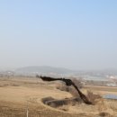 충북 야생동물센터 이미지