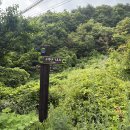 하고산경로당 | 블랙야크 100대 명산 보은 구병산1코스 2코스 소요시간 후기