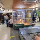 작은 동물원 이미지