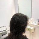 효림 | [리뷰] 망우역 미용실 커트 레이어드펌 효림쌤 후기 _ 디문트헤어