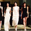 레드카펫 이미지