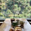 파스토랄 | [서울 근교 가을 나들이] 고양 행주산성 – 주차·입장·명소 총정리 + 파스토랄 카페 후기