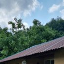 긴물스테이 이미지