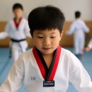 153태권도장 이미지