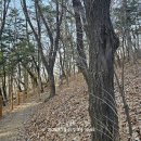 우장산 이미지