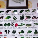 산골짜기쌈밥마을 이미지