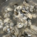 섬마을 유통 | 통영 말고 이번엔 고흥, 오취마을 고흥굴 생굴 1kg 생굴택배 후기