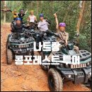 콩포레스트