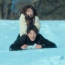 플랑크톤 이미지