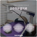 메디암요양병원 이미지