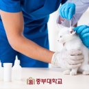 중부동물병원 이미지
