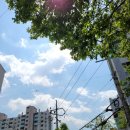 황장군성서점 이미지