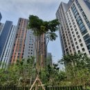 김여사부동산공인중개사사무소 이미지