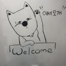 지니펫 애견미용실 이미지