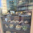 로즈베이2 (RoseBay2) | 잠실새내카페 로즈베이 소금빵 치아바타 맛있는 잠실새내빵집