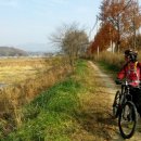 국토종주자전거길1-2 이미지