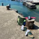 월령리(월령포구) 이미지