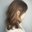 준오헤어 강남우성점 이미지