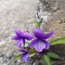 격이 달라 보이는 사람 특징 이미지