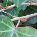 노리울지역아동센터 이미지