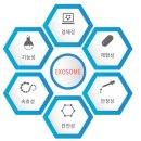 씨케이정보기술