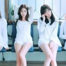 스텔라 Daum카페