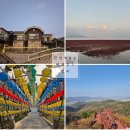 인천 석모도 여행코스 정리 가볼만한곳 맛집 펜션 List 추천