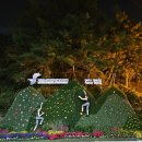 부주산국제클라이밍센터 이미지