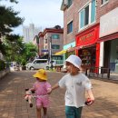 원우농장 | [반달곰이살던숲] 환상&amp;카라반존 환상파쇄석6 주의할점 그리고 동물농장후기🔥