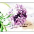 좋은선물 이미지