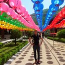 운문사사리암주차장 이미지