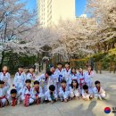 태아일체 행복한 태권도장 이미지