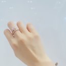G0549 이미지