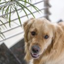 신세계동물병원 이미지