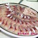 독도회수산 Daum카페