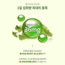 군산시치매안심센터 | 치매 예방의 희망? 은행잎추출물 효능, 기억력, 혈행개선, 인지기능 완벽 탐구