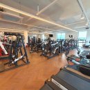 고 짐(GO GYM) 이미지