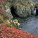 트럼펫연주 이미지