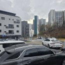 캐럿틴트