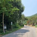 용현계곡입구 이미지