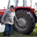 남미농장 이미지