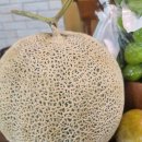 혜원상회 이미지