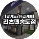 리츠펫(송도점) 네이버블로그