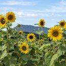 진안군농업기술센터 이미지