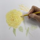 후즈보태니컬아트