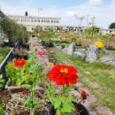 구)대산초등학교 이미지