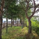 성주읍 봉두산-대금산-왜관452-경북339(표석 없음) 이미지