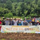 삼척시노인복지관, 노인맞춤돌봄서비스 농촌 일손돕기「따뜻한손길! 우리~감자해요~ 」 진행 이미지