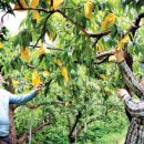 상평2리 이미지