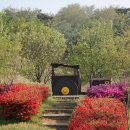 백제군사박물관 이미지